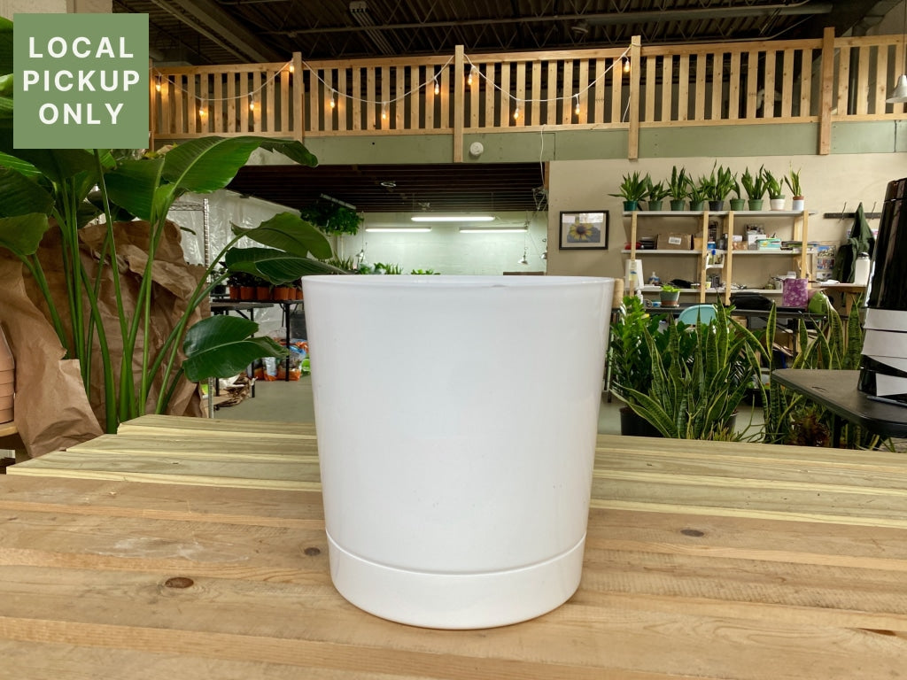 10 Cylinder Planter White Retail -