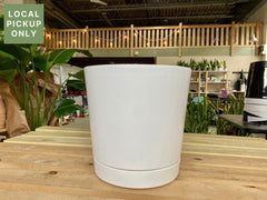 12 Cylinder Planter White Retail -